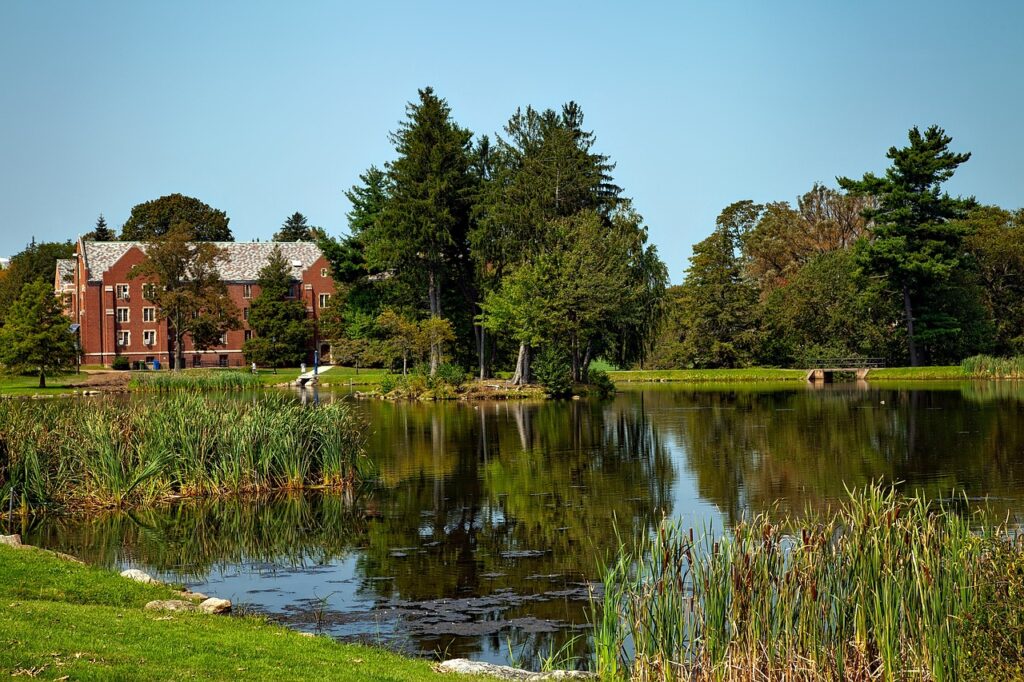 One of the public colleges in Connecticut