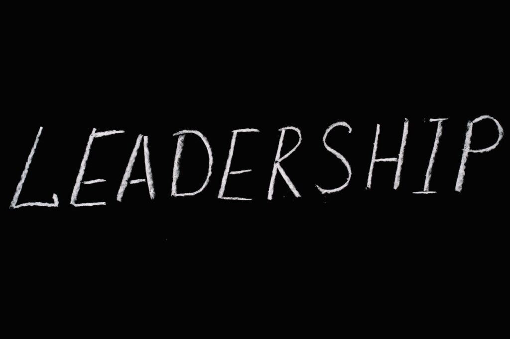 What is an organizational leadership degree?