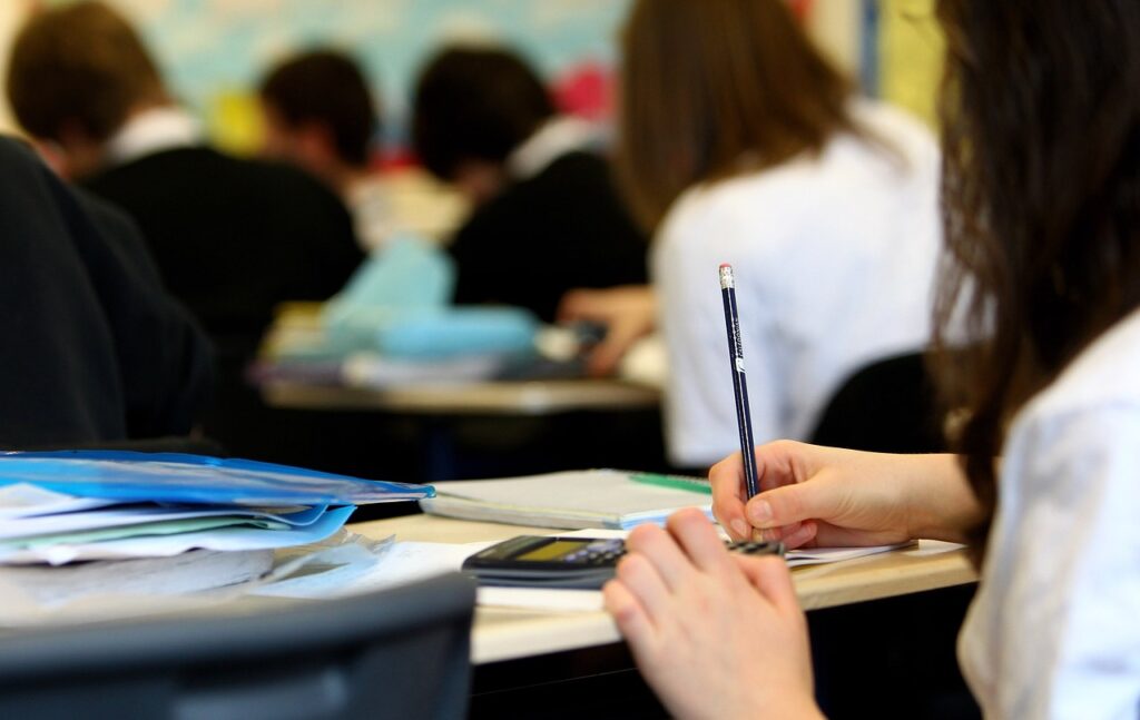 A student enrolled in a public administration degree
