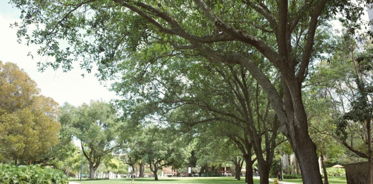 Study at one of the best criminal justice schools in Florida