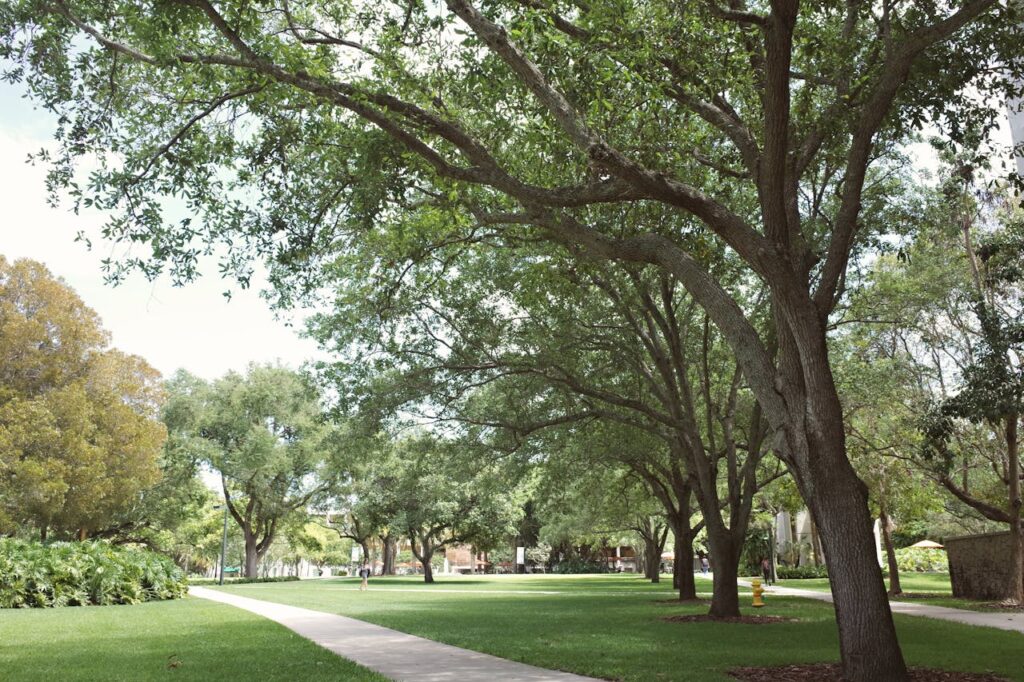 Study at the best liberal arts schools in the South